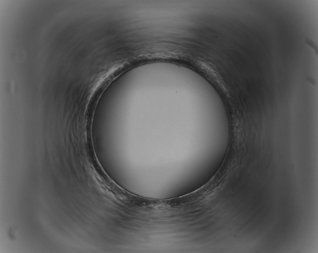 X0000102030395200807181011