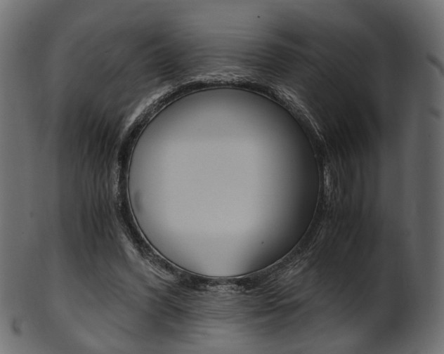 X0000102030396200807181011