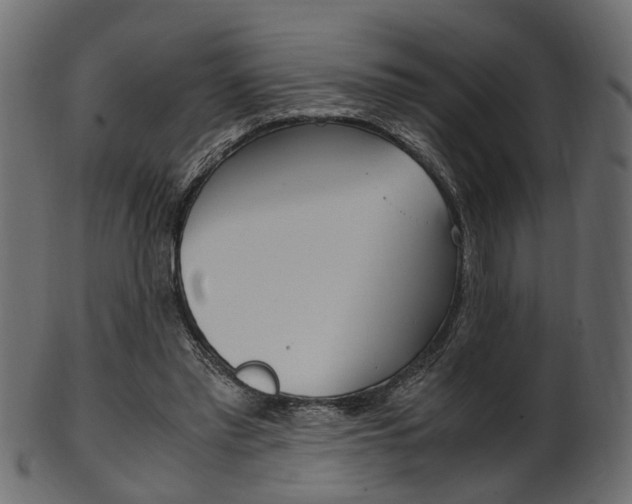 X0000102030397200807181011