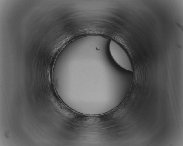 X0000102030398200807181011