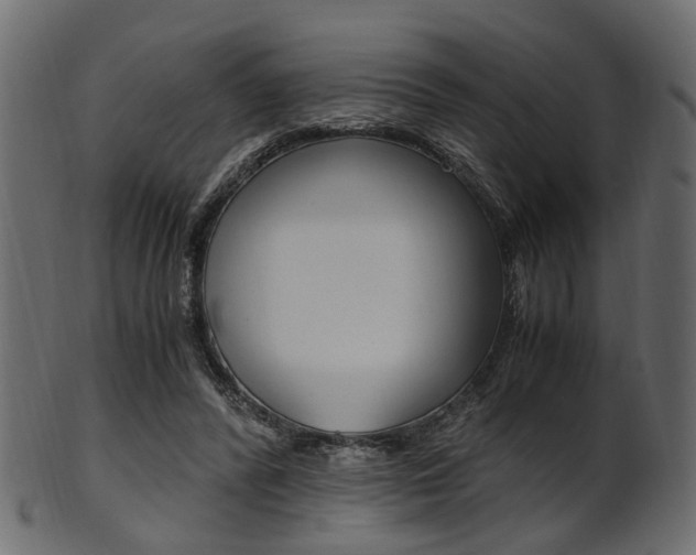 X0000102030400200807181011