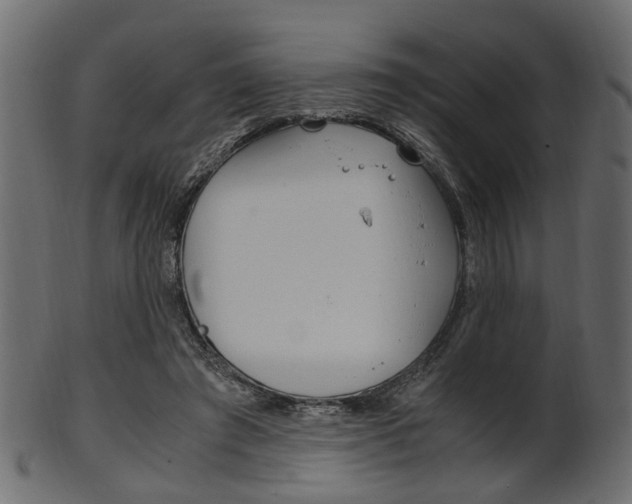 X0000102030401200807181011