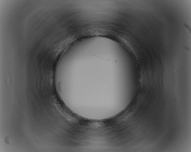 X0000102030402200807181011