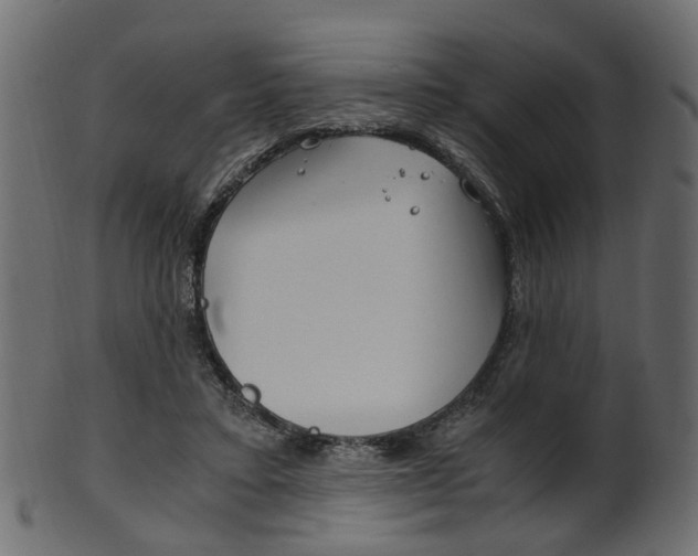 X0000102030403200807181011