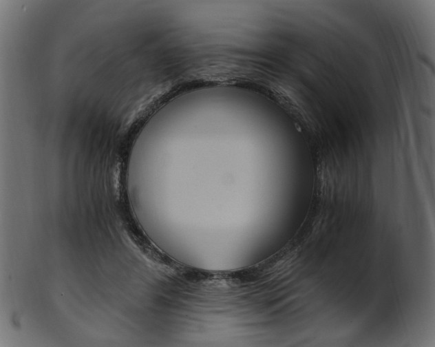 X0000102030404200807181011