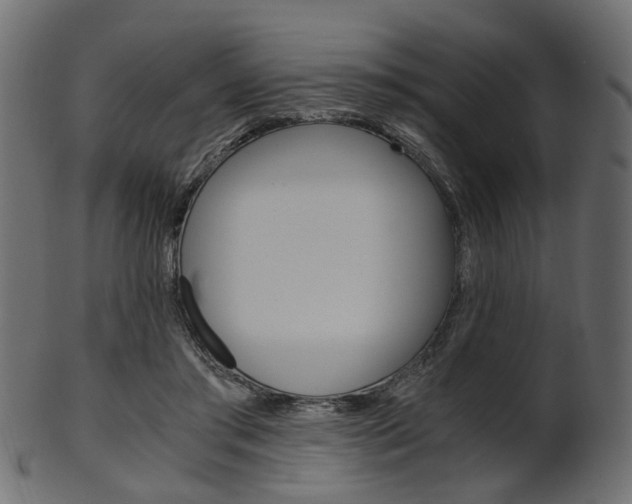 X0000102030405200807181011