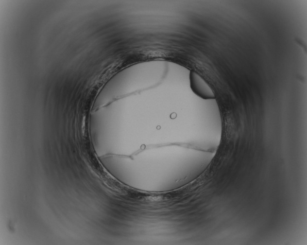 X0000102030406200807181011