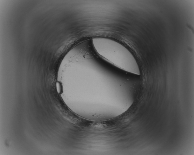 X0000102030407200807181011