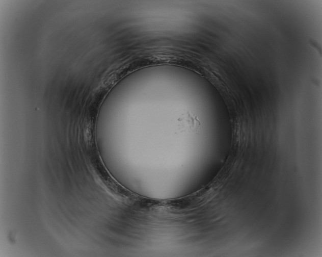 X0000102030408200807181011