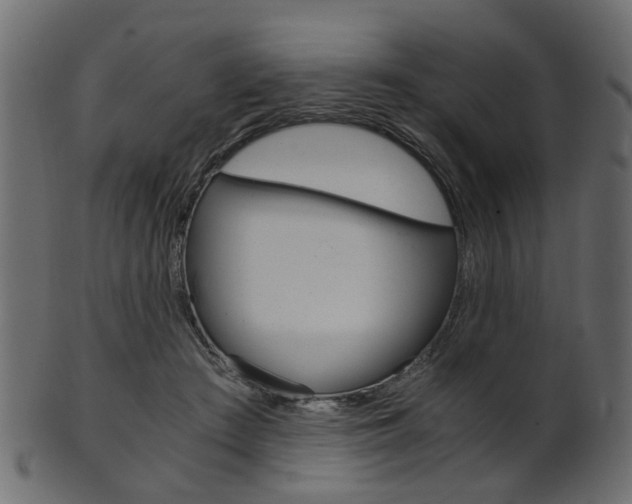 X0000102030409200807181011