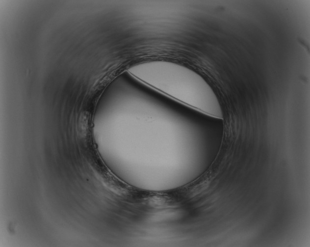 X0000102030412200807181011