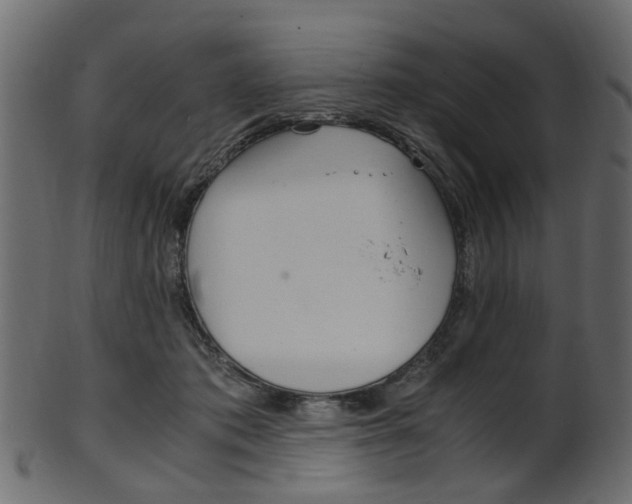 X0000102030413200807181011