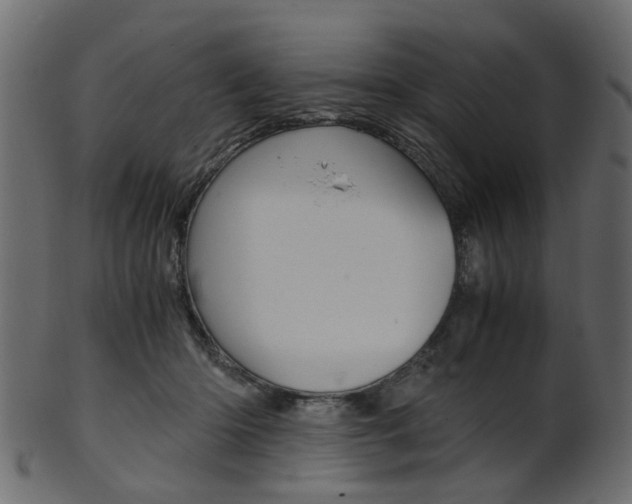 X0000102030414200807181011