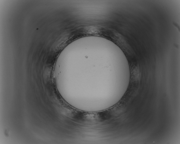 X0000102030415200807181011