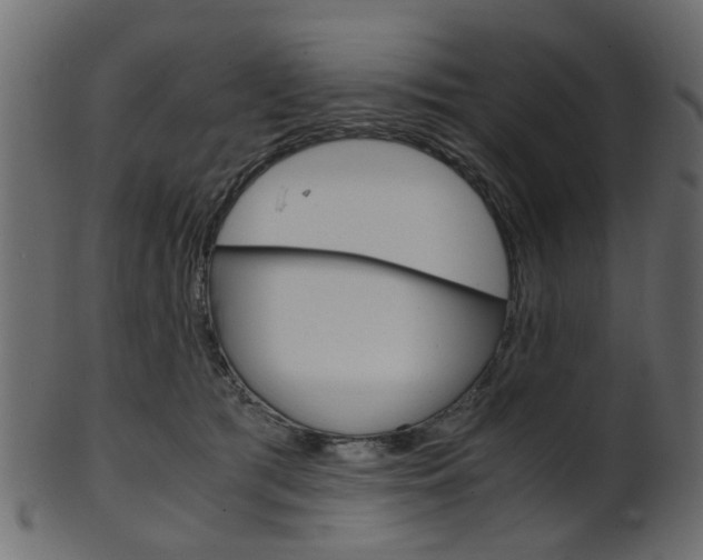 X0000102030417200807181011