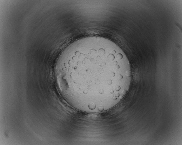 X0000102030418200807181011