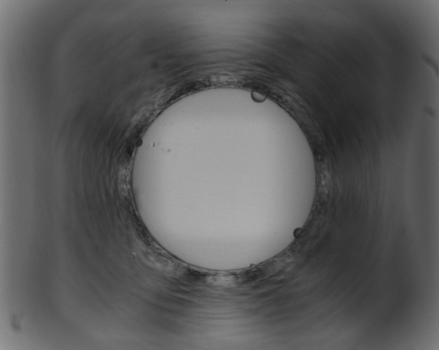 X0000102030419200807181011