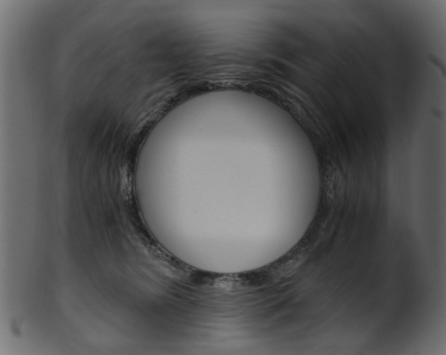 X0000102030420200807181011