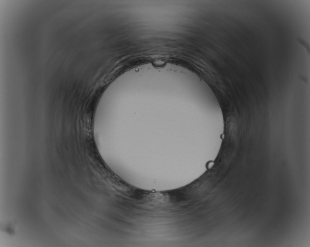 X0000102030421200807181011