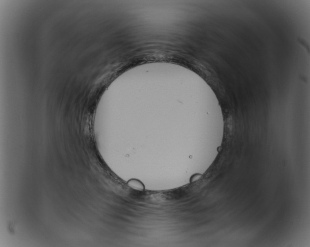 X0000102030423200807181011