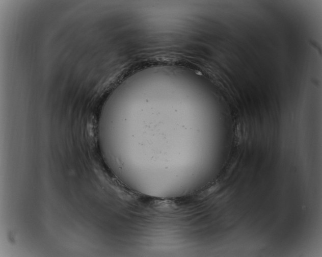 X0000102030424200807181011