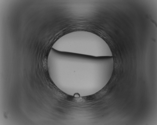 X0000102030425200807181011