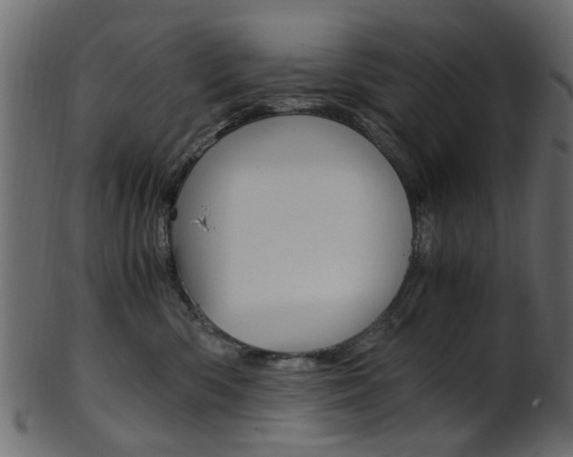 X0000102030426200807181011