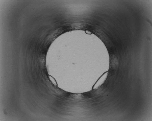 X0000102030427200807181011