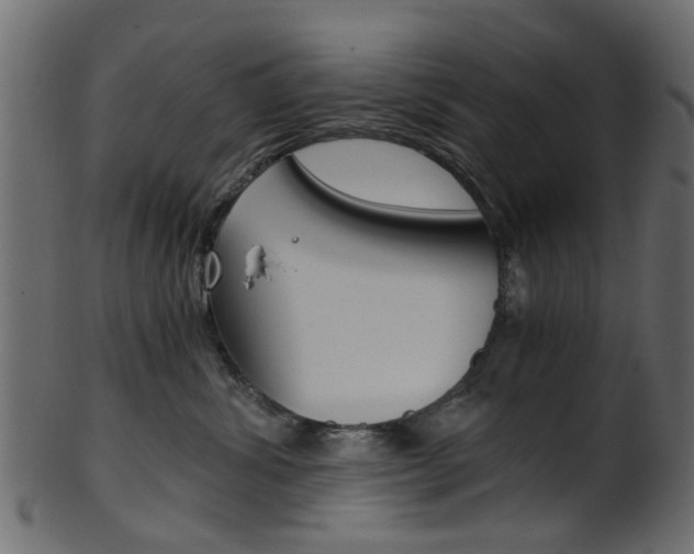 X0000102030428200807181011