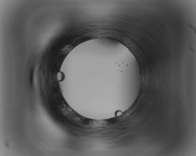 X0000102030429200807181011