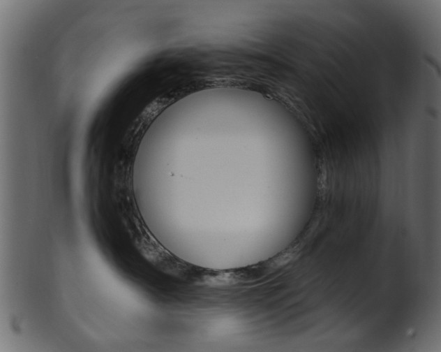 X0000102030430200807181011