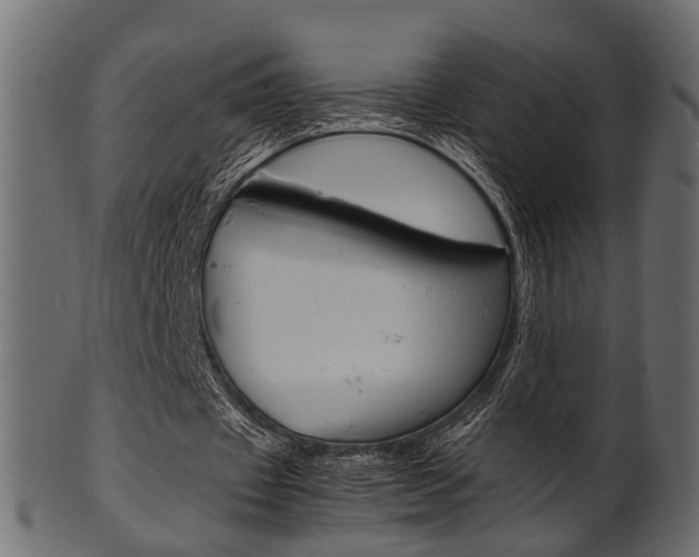 X0000102030433200807181010