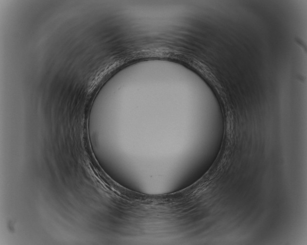 X0000102030434200807181010