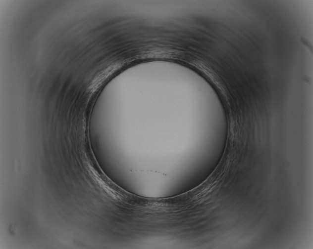 X0000102030437200807181010