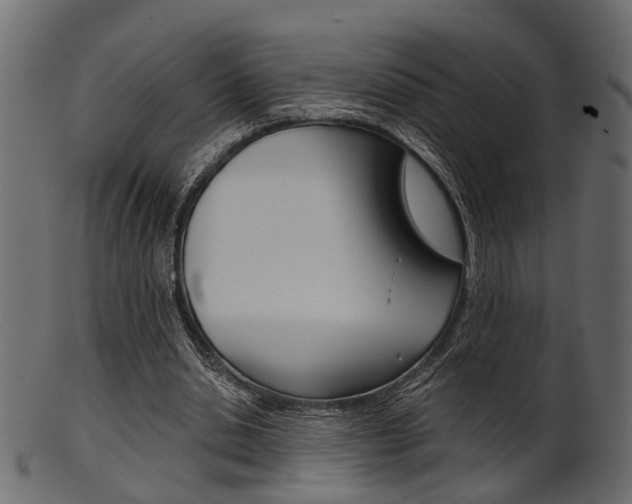 X0000102030438200807181010