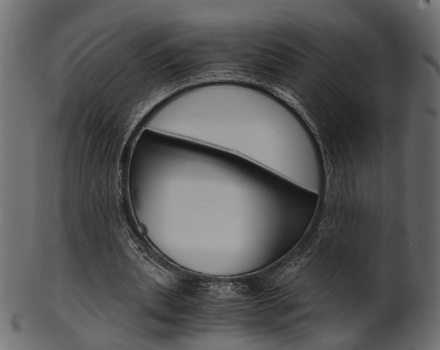 X0000102030439200807181010