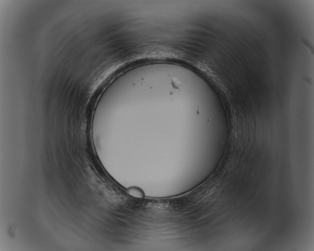 X0000102030440200807181010