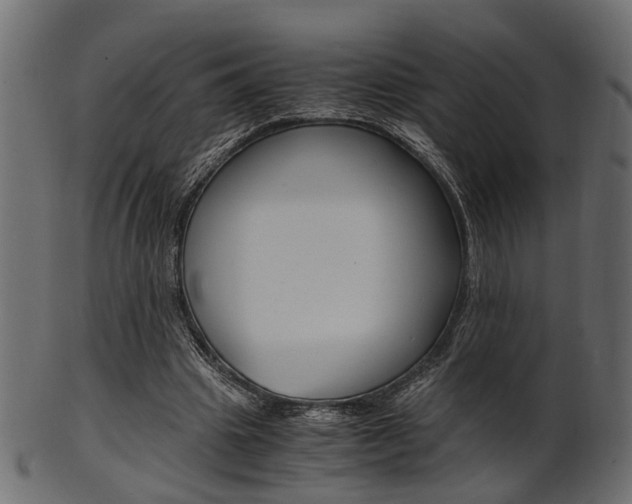 X0000102030441200807181010