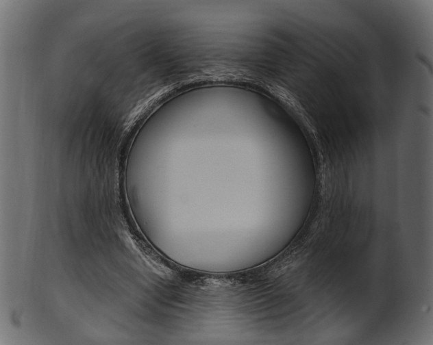 X0000102030442200807181010