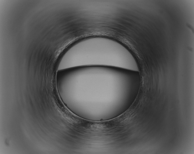 X0000102030444200807181010