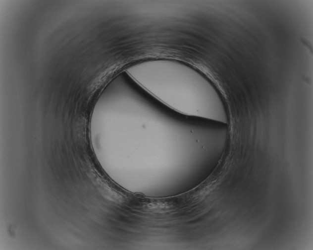 X0000102030445200807181010