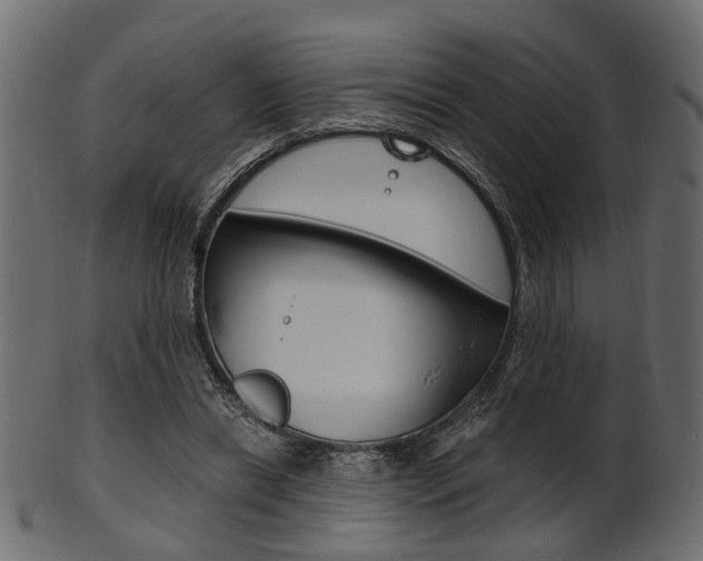 X0000102030446200807181010