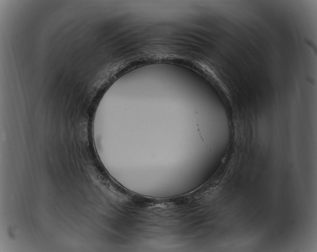 X0000102030447200807181010