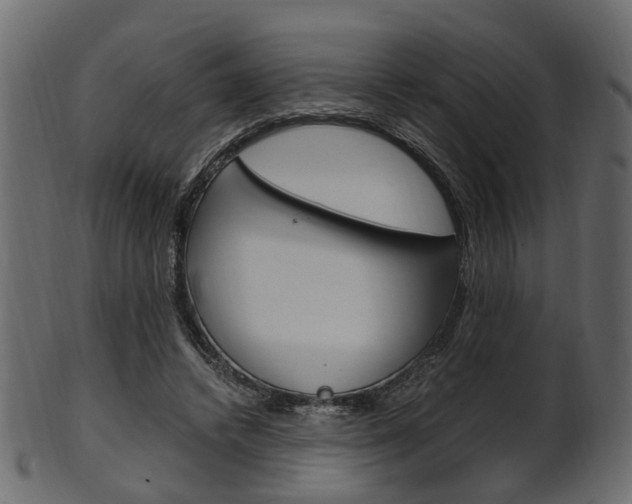 X0000102030448200807181010