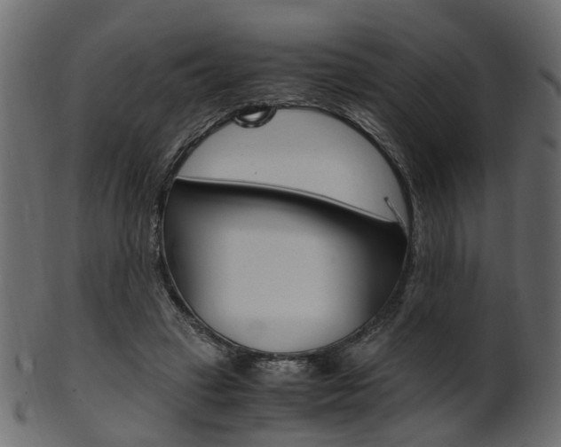 X0000102030449200807181010