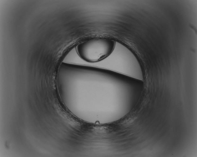 X0000102030450200807181010