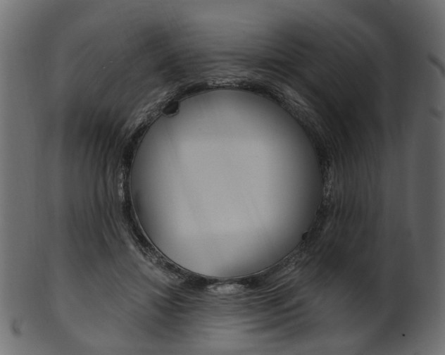 X0000102030452200807181010