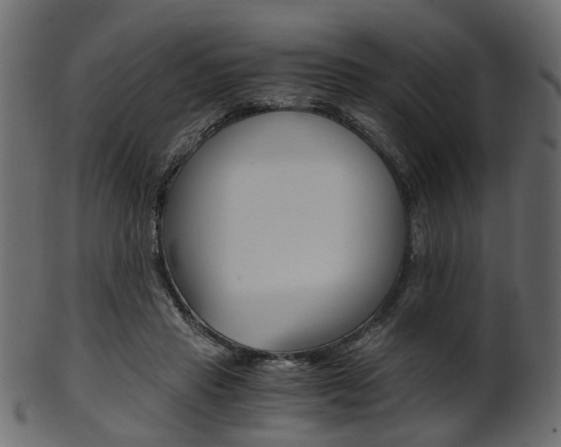 X0000102030453200807181010