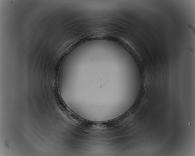 X0000102030455200807181010