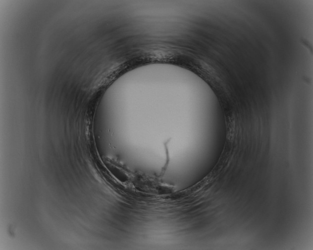 X0000102030456200807181010